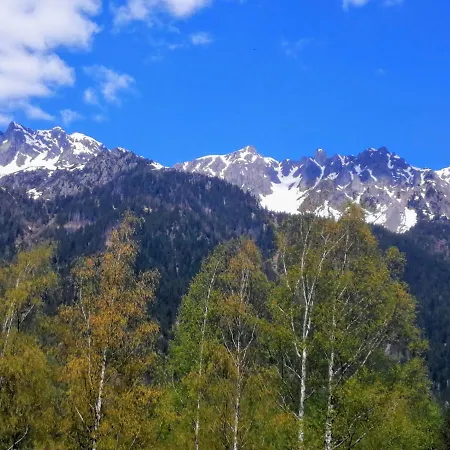 Le Chamoniard Volant