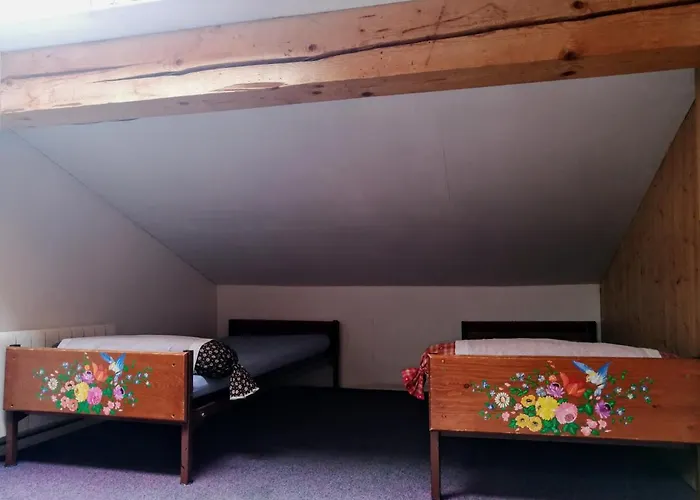 Le Chamoniard Volant