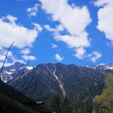 Le Chamoniard Volant 旅馆 *