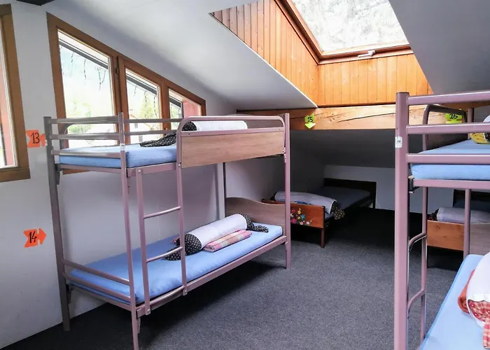 Le Chamoniard Volant * Шамоні