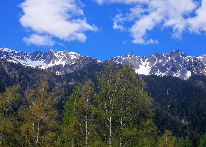 Le Chamoniard Volant
